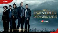 What happened to Law & Order: Organized Crime? Why the series ended