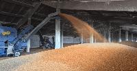 Russian grain transit through Latvia more than doubles despite import ban
