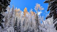 NOAA’s winter outlook leaves Utah snowfall uncertain as El Niño strengthens