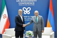 The Armenian Prime Minister and Iranian President compared notes on the bilateral cooperation agenda