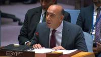 Egypt Urges UN Security Council to Take More Effective Action to End Sudan War
