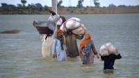 Beyond The $700 Million ADB Loan: Can Climate Insurance Save Pakistan's Farmers?