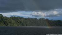 Brazil: Amazon deforestation lowest in nearly 40 years