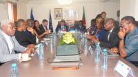 Cameroon, France Discuss Local Power Projects to Support Industry