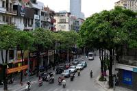Hanoi ‘under attack’ -- from tree fragrance 