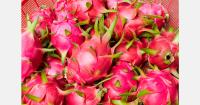 Vietnam's fruit and vegetable exports to China fall over 20% in September