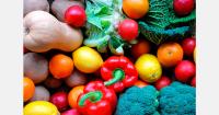 By value, Morocco is Spain's top supplier of fruits and vegetables