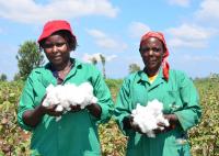World Food Day: Five Myths and Facts about GMOs