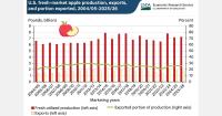 U.S. fresh apple exports reach record US$1.16 billion in 2025/26