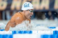 2026 College Swimming League Match 5 (Stanford, Cal, NC State, Indiana): Live Recap