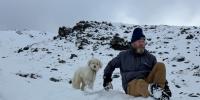 Dog miraculously found alive 2 days after being separated from owner in Alaska avalanche