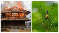 Bali Tourist Sets Villa On Fire While Trying To Scare Spider, Sparks Safety Concerns