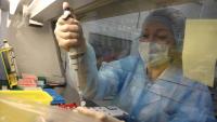 Russian Laboratory Worker Dies from Suspected Bubonic Plague