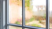 Auckland landlords ordered to pay $31,786 over damp, mouldy rental