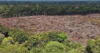 Deforestation in Brazil's Amazon falls to record low