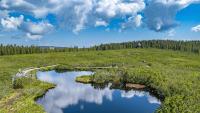 Alpine peatlands may be in worse condition than scientists thought