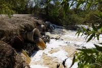 San Diego County taps former diplomat as pollution crisis chief amid Tijuana River sewage crisis
