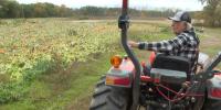 Tourist in Your Town: Fall doesn’t fall short at this Laingsburg farm