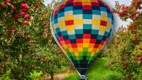 Connecticut Apple Orchard Accuses Hot Air Ballon Company Of Pulling Off Fly-By Fruit Heist