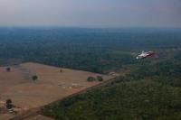 Brazil’s Amazon deforestation hits lowest level on record