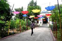 From Delhi to Samarkand: India’s Carbon Garden takes root in Uzbekistan