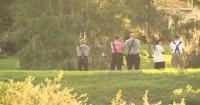 Man, 71, killed by alligator at park in Florida
