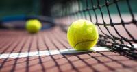 Tennis ball lying on the court. Healthy lifestyle concept