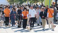Seoul mayor calls for responsible pet ownership
