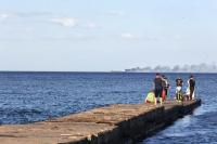 Black Sea Oil Spills Worsen as Russian-Ukrainian Attacks Threaten Marine Wildlife