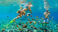 These Pristine Caribbean Beaches Offer Spectacular Reef Snorkeling Without A Boat