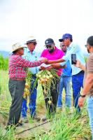 Guyana building out integrated agri-food economy – Pres Ali in World Food Day Message
