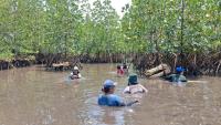 Indonesian women cash in on mangrove restoration: Interview with community leader Wisye Sahambangung