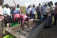 Inside move to revamp Uganda fishing sector