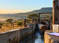 Farmers concerned dipping chemicals no longer effective