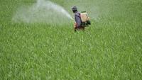 Climate change is quietly lowering the nutrient content of India’s staple crops