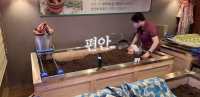 Bury yourself in enzyme baths, Korea’s latest wellness trend