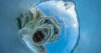 OurNature Environmental Photo & Video Award Winners Use Storytelling To Reveal Our World and How To Protect It