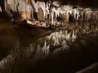 Fall delights: Fun outdoor adventures in Virginia and great food in Maryland