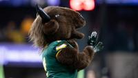 Here's how to watch or stream Saturday's Nevada-North Dakota State football game