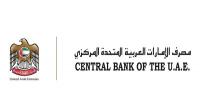 UAE continues to support global financial stability, international cooperation: CBUAE Governor