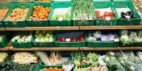 ASU launches mentorship program to grow more organic farmers