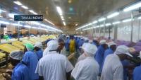 World Bank Warns of 800 Million Global Jobs Shortfall