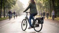 Electric Bike Buying Guide: Why Top Speed Should Not Top Your List