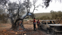 Israeli settler attacks injure 19 Palestinians in West Bank