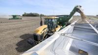 Siouxland farmers bring in the crops, contend with challenging economy