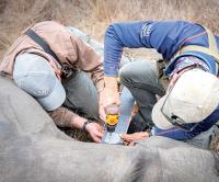 How new elephant collars at Kasungu National Park wire up wildlife corridor and conservation