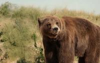 Armenia and Colombia Launch Global CARES Alliance in Yerevan to Battle Species Extinction