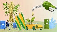 Ethanol industry body seeks higher maize, rice ethanol prices; flags viability concerns