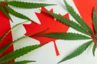 OPINION: Canada’s legal cannabis system has an access problem hiding in plain sight