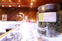 OCP Warns Medical Cannabis Users of Unsafe Levels of Mold, Bacteria and Yeast in Company's Product